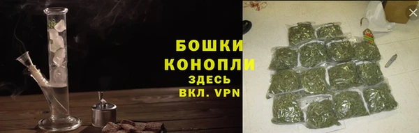 мет Инта