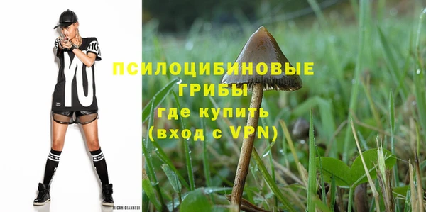 синтетический гашиш Каменка